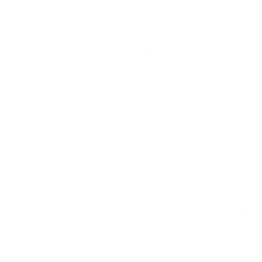 Freeingo Safaris