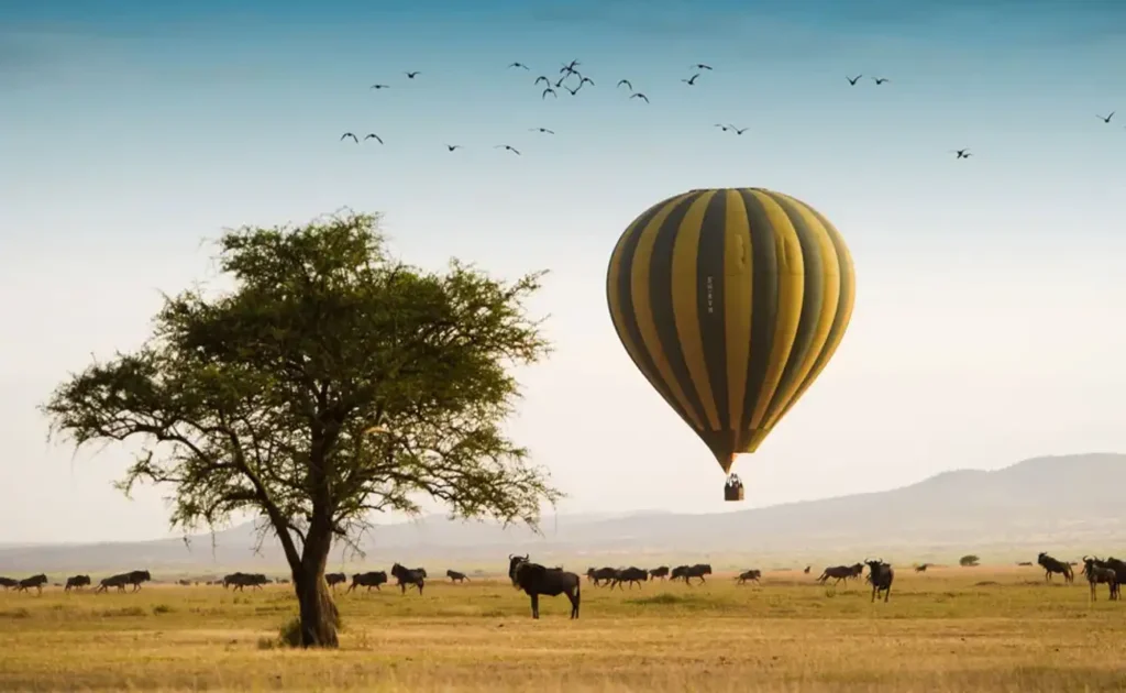 3 Days Fly-in Serengeti, Ngorongoro Safari