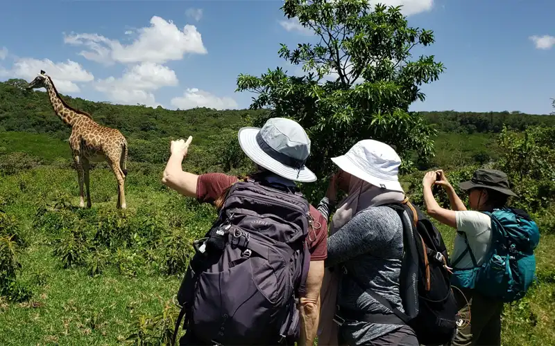 Arusha national park walking safari