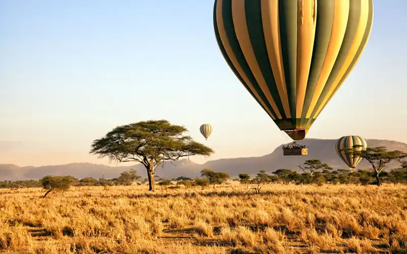 Hot Air Balloon Safaris