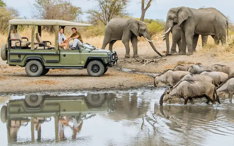 Lake Manyara Game Drive