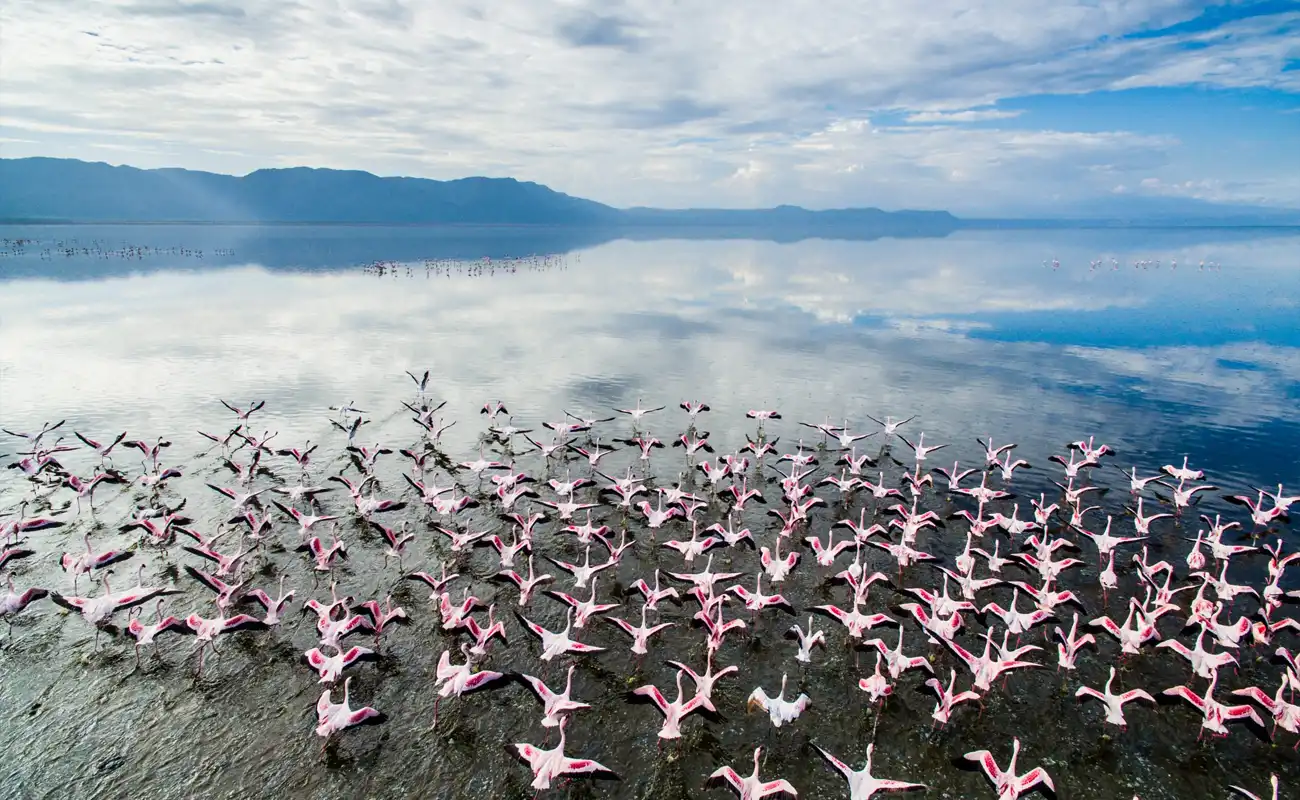 Lake Manyara