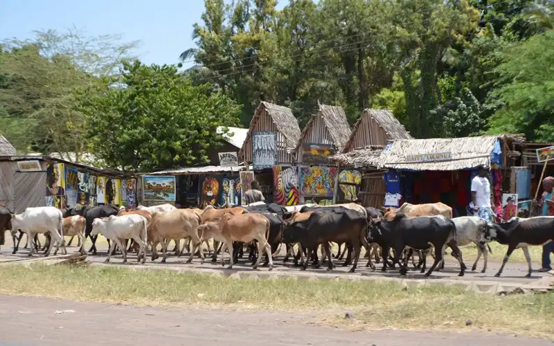 Mto wa Mbu village